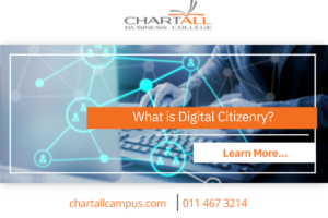 What is the Digital Citizenry
